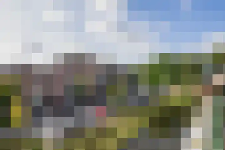 Kobelaan 78 Rotterdam thumbnail 19