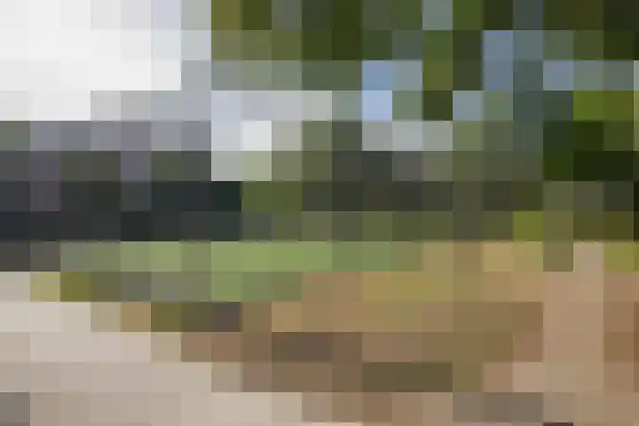 Kobelaan 78 Rotterdam thumbnail 5
