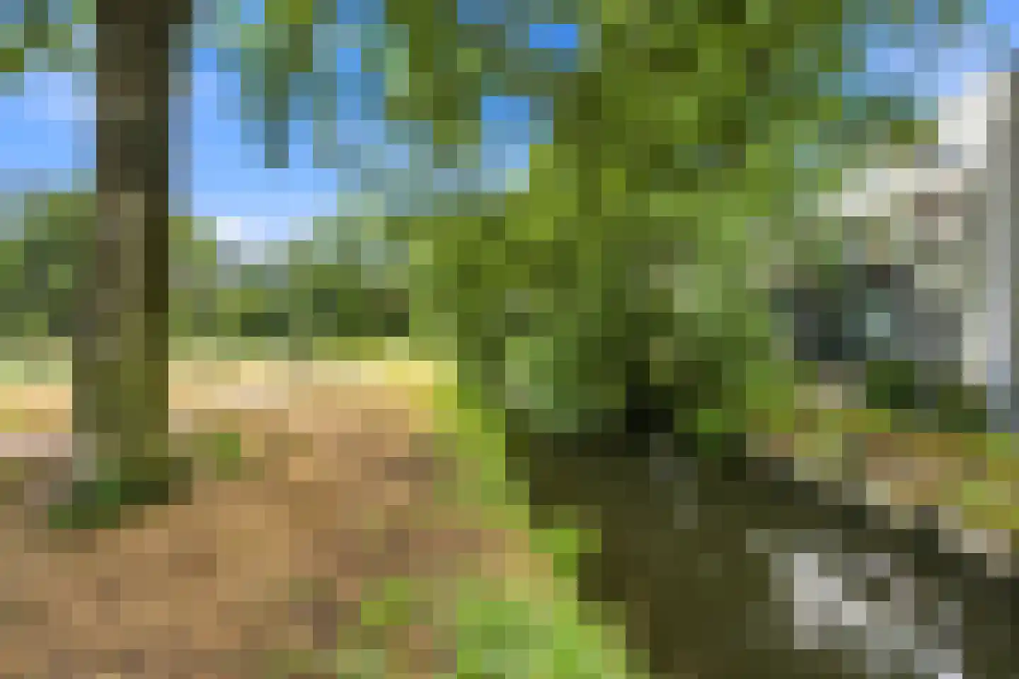 Kobelaan 82 Rotterdam thumbnail 20