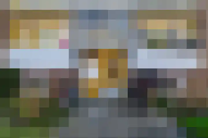 Kochstraat 120 Groningen thumbnail 6