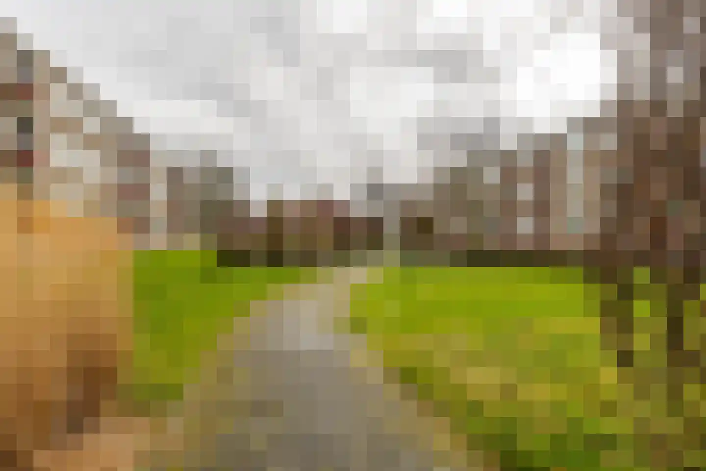 Kochstraat 182 Groningen thumbnail 38