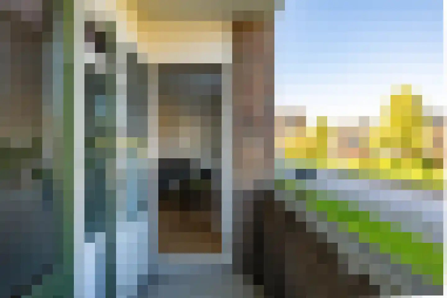 Kochstraat 184 Groningen thumbnail 20