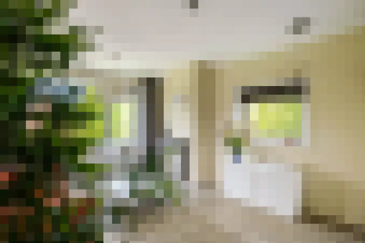 Kochstraat 186 Groningen thumbnail 12