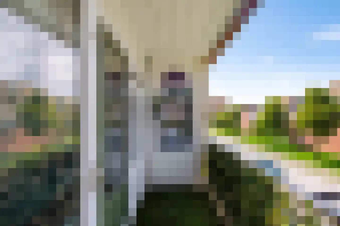 Kochstraat 186 Groningen thumbnail 14