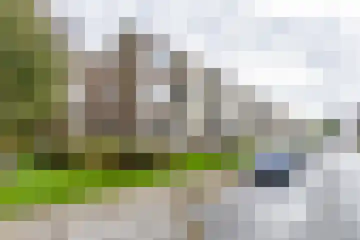 Kochstraat 192 Groningen thumbnail 42