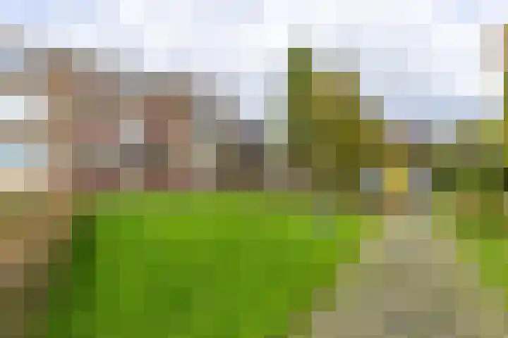 Kochstraat 192 Groningen thumbnail 45