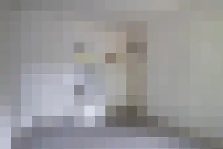 Kochstraat 2 Geleen thumbnail 21