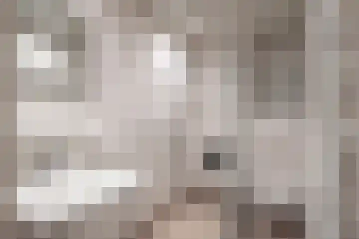 Kochstraat 2 Geleen thumbnail 22