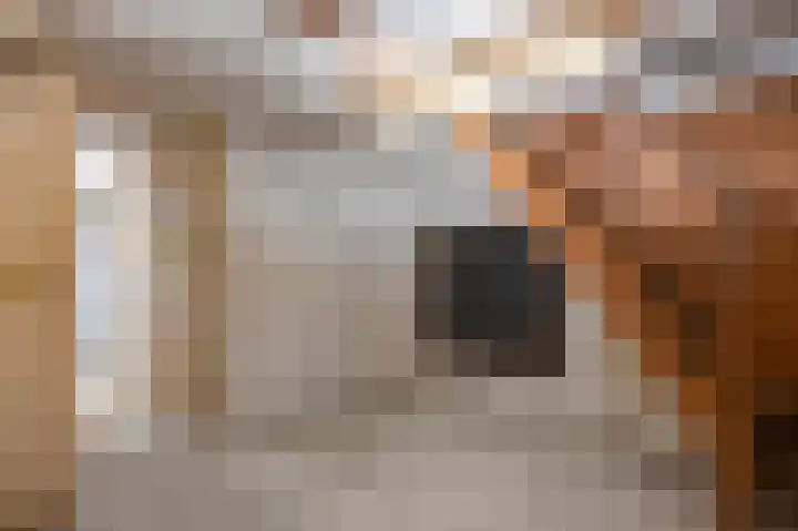 Kochstraat 2 Geleen thumbnail 23