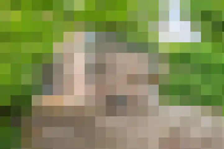 Kochstraat 2 Geleen thumbnail 27