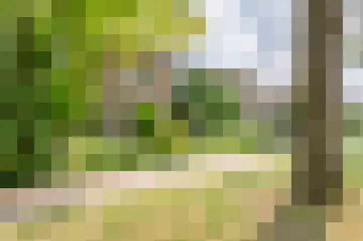 Kochstraat 2 Geleen thumbnail 28