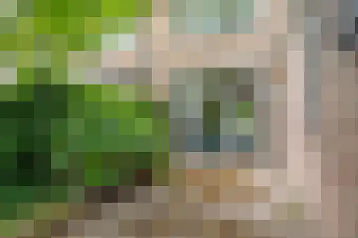 Kochstraat 2 Geleen thumbnail 29