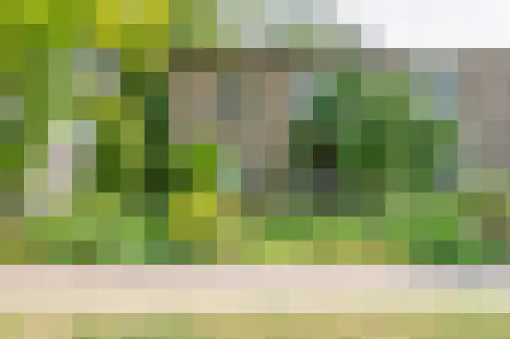 Kochstraat 2 Geleen thumbnail 30