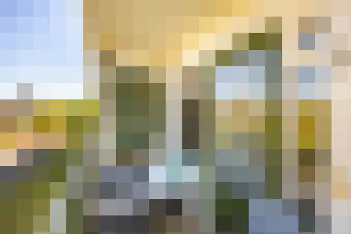 Kochstraat 200 Groningen thumbnail 23