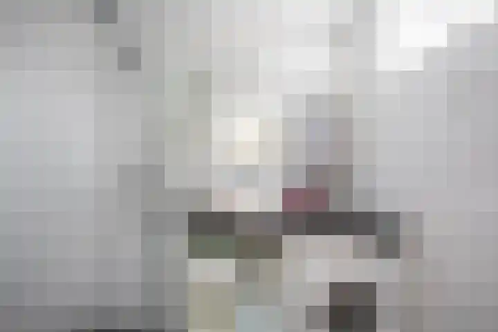 Kochstraat 200 Groningen thumbnail 4