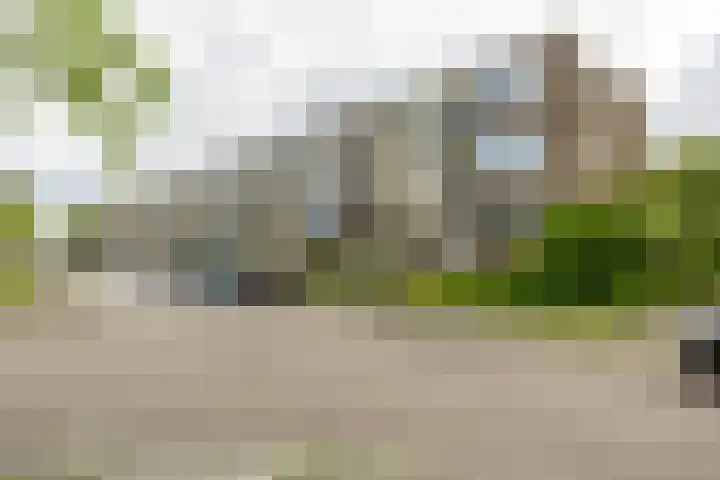 Kochstraat 246 Groningen thumbnail 6