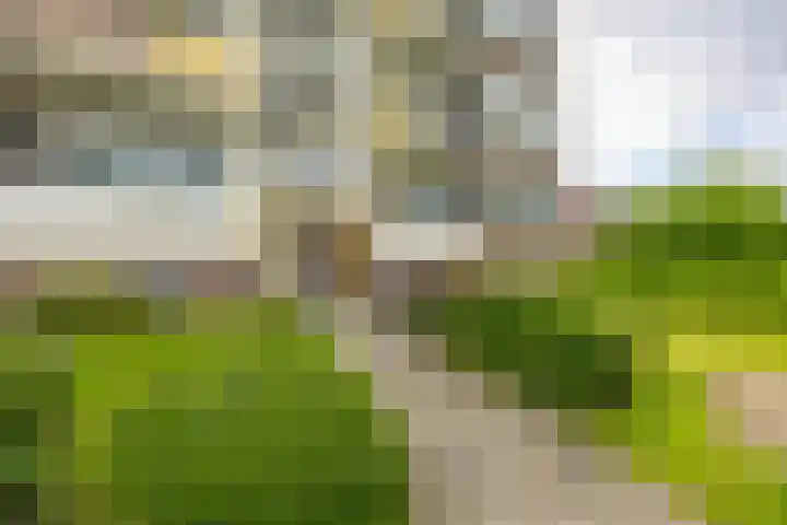 Kochstraat 246 Groningen thumbnail 8