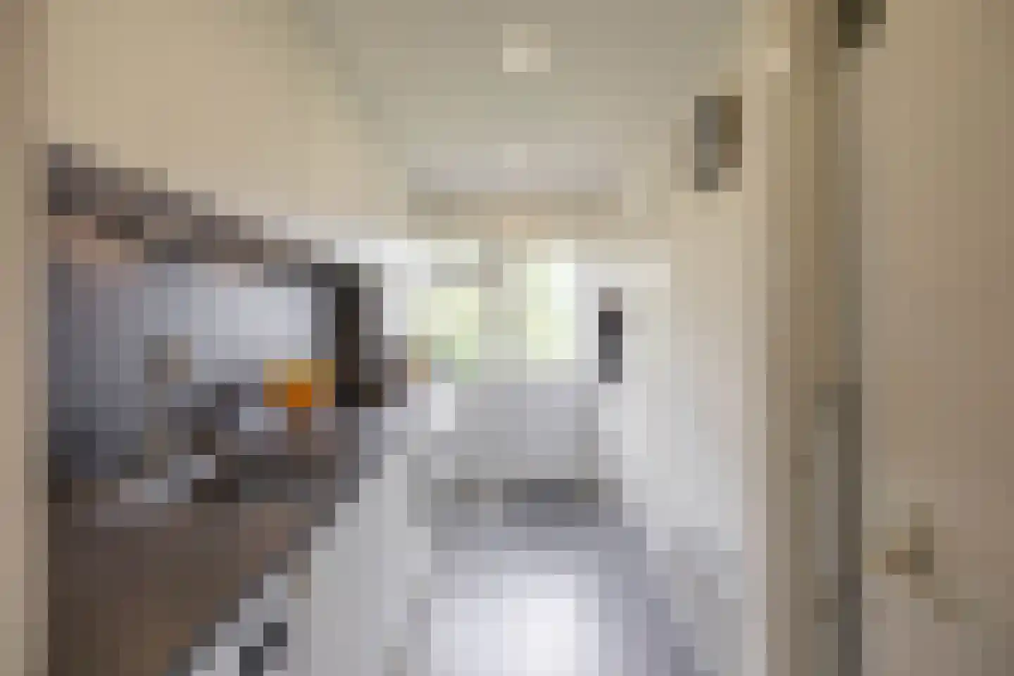 Kochstraat 48 Groningen thumbnail 8