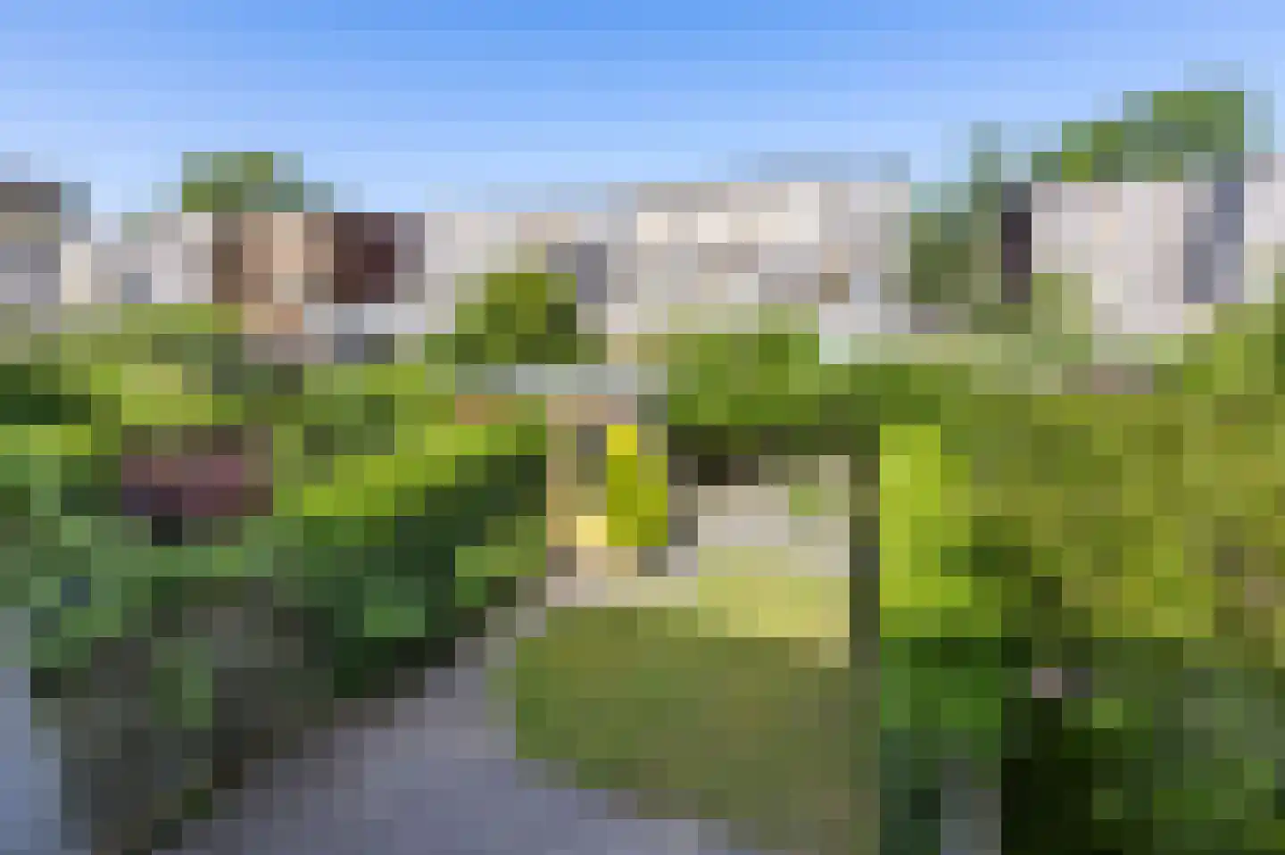 Kochstraat 63 4 Groningen thumbnail 29