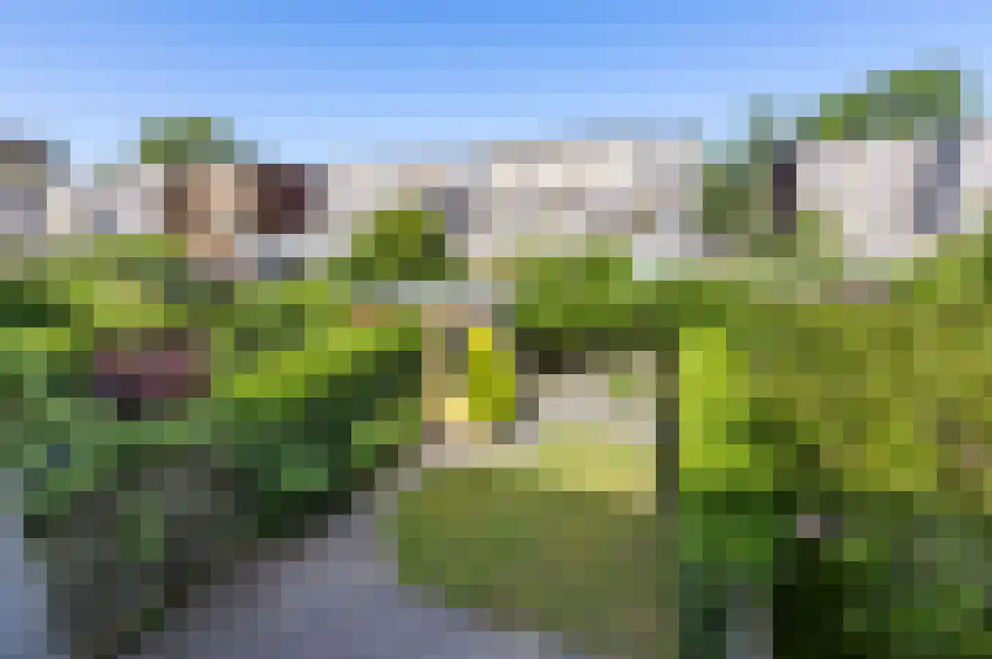 Kochstraat 63 4 Groningen thumbnail 29