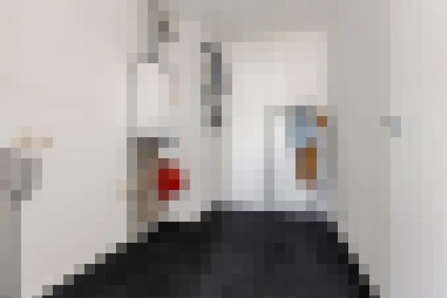 Kochstraat 63 4 Groningen thumbnail 33