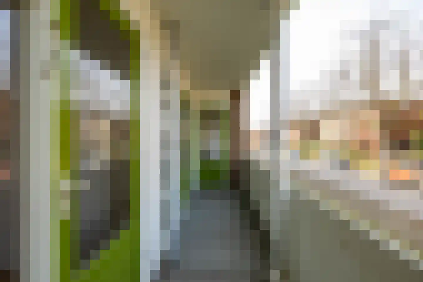 Kochstraat 64 Groningen thumbnail 29