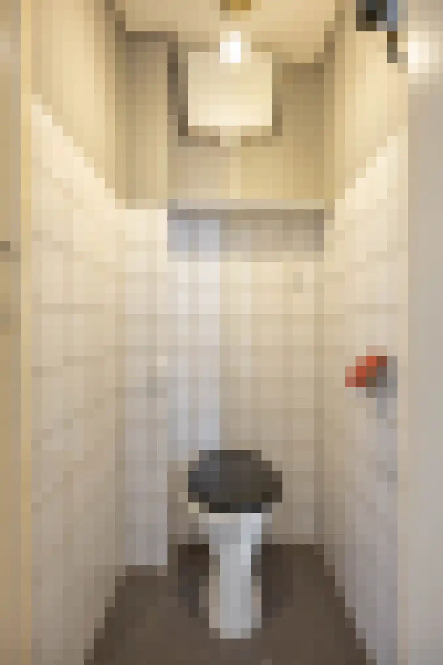Kochstraat 64 Groningen thumbnail 37