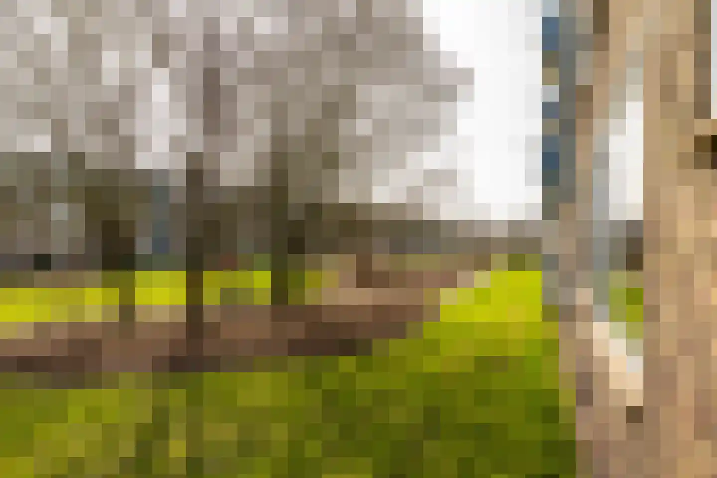 Kochstraat 64 Groningen thumbnail 39