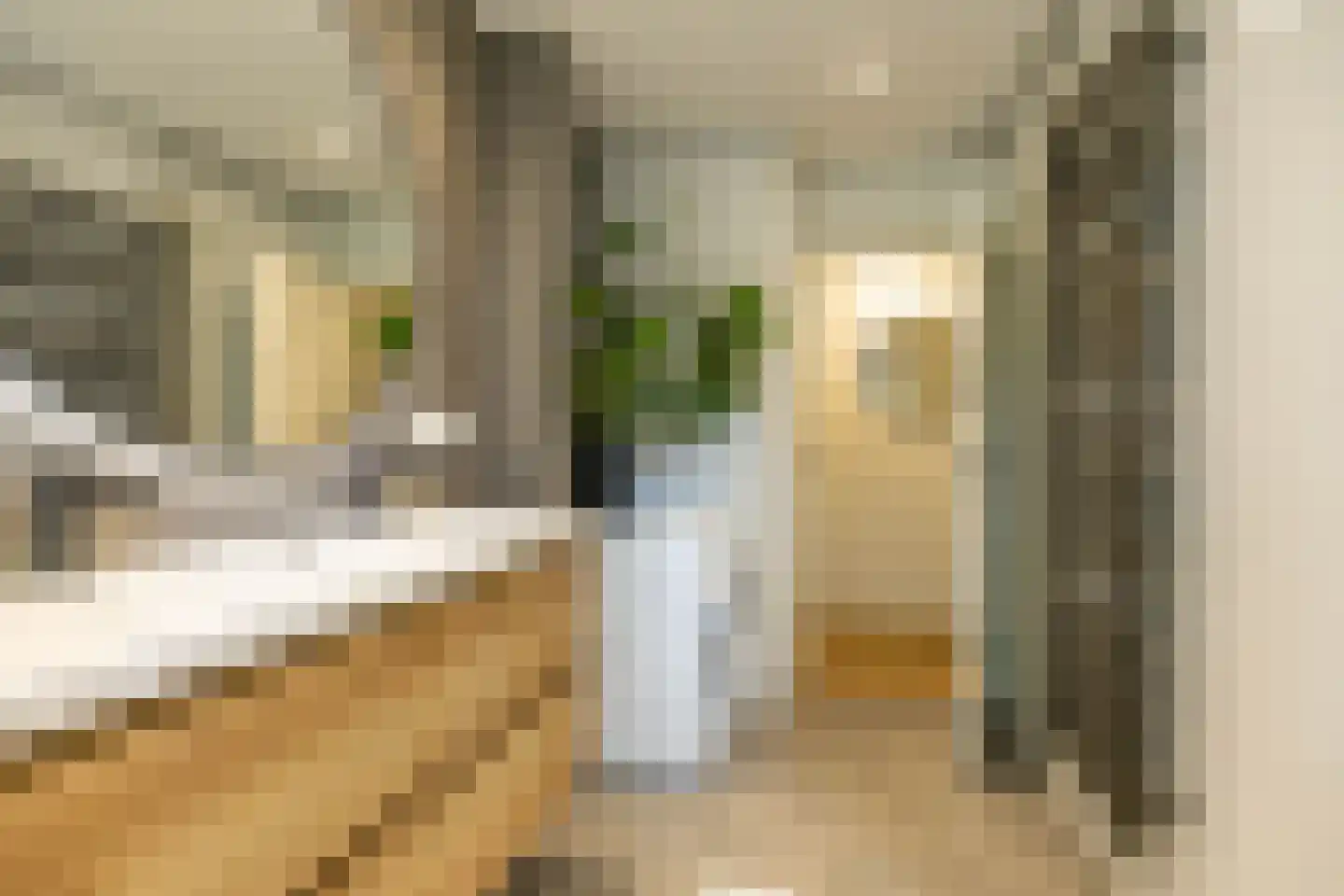 Kochstraat 74 Groningen thumbnail 23