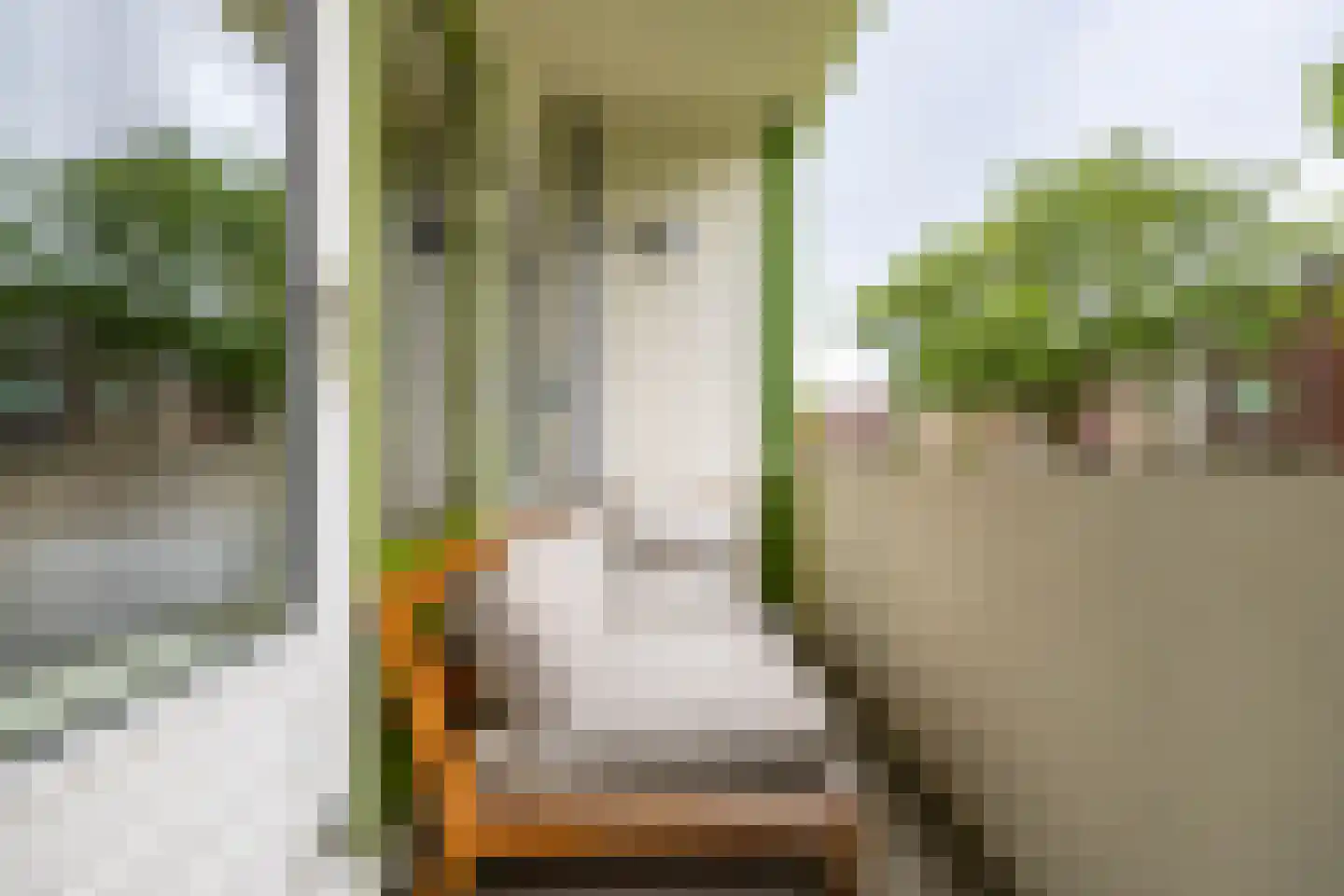 Kochstraat 74 Groningen thumbnail 29