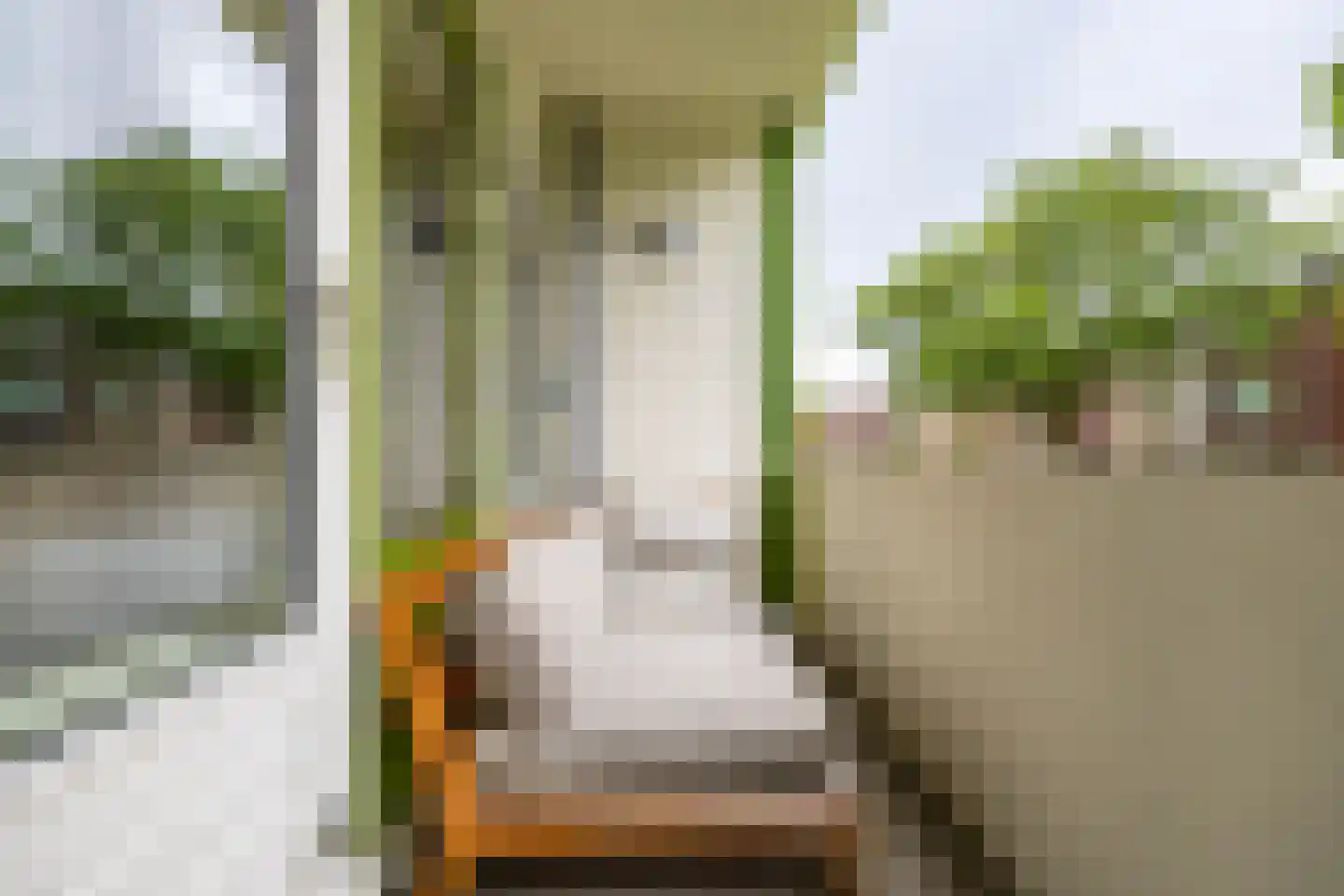 Kochstraat 74 Groningen thumbnail 4