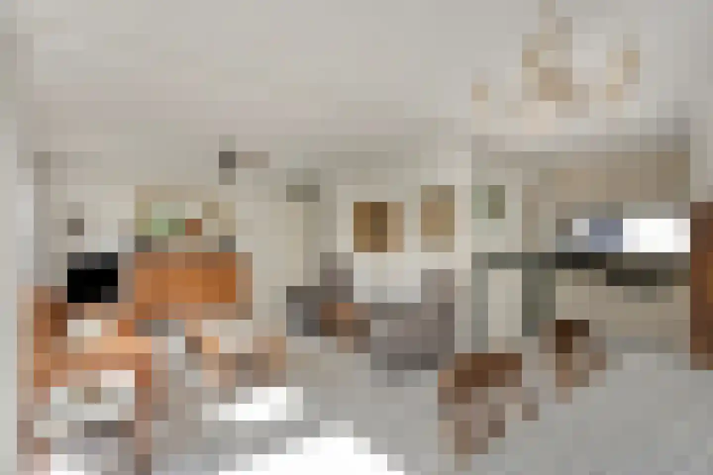 Kochstraat 8 Maastricht thumbnail 9