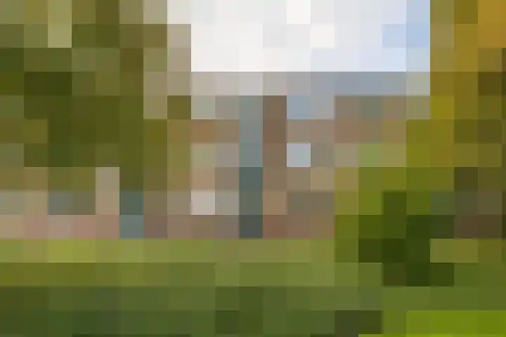 Kochstraat 90 Groningen thumbnail 34