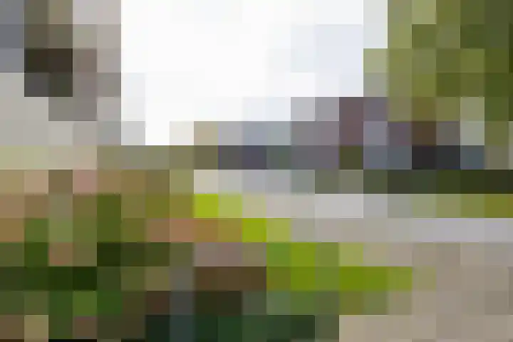 Kochstraat 90 Groningen thumbnail 6