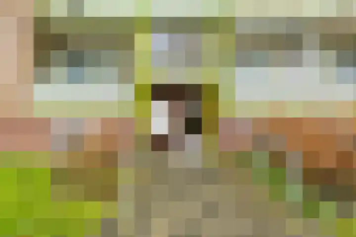 Kochstraat 96 Groningen thumbnail 9