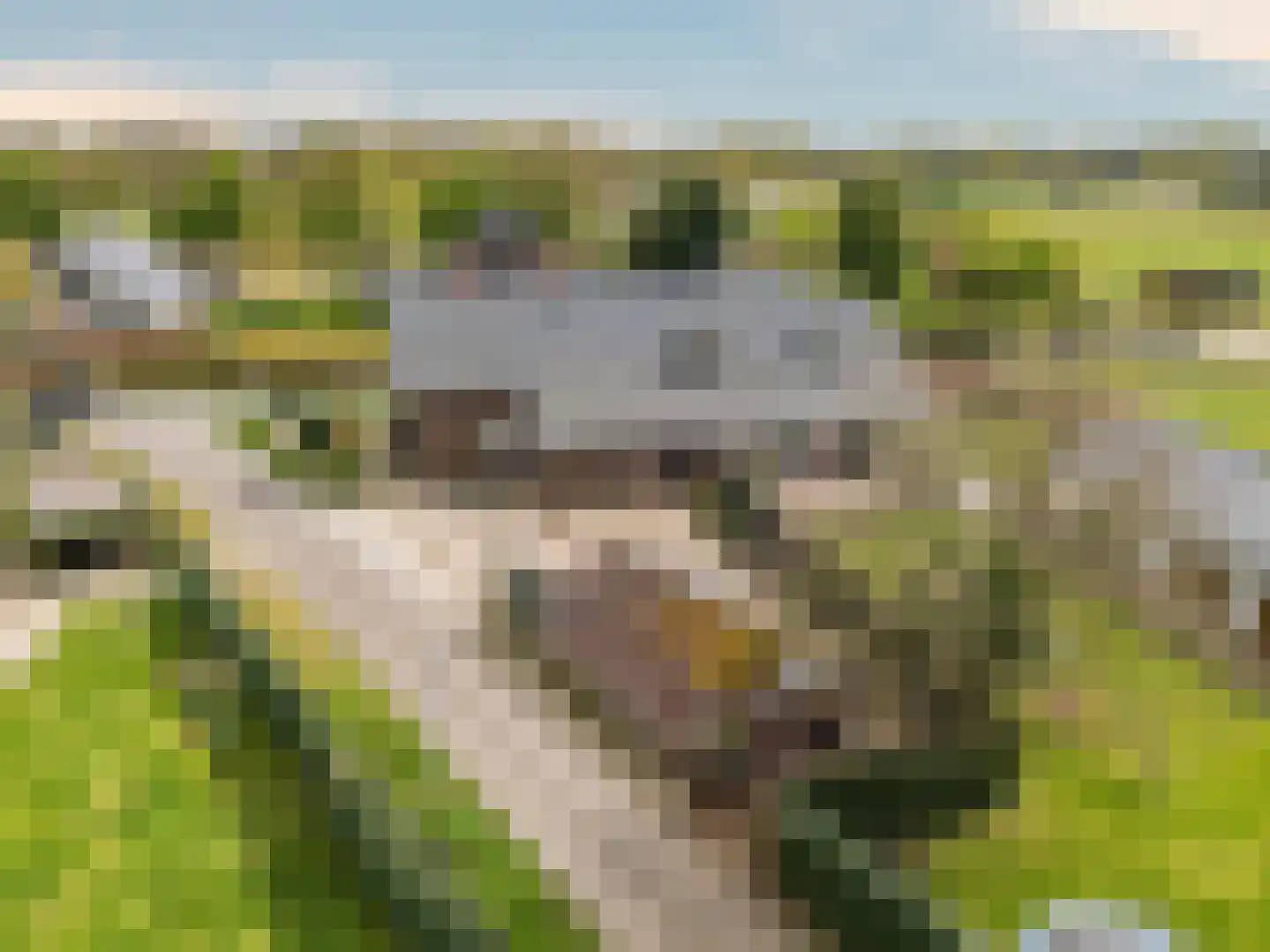 Kockerseweg 74 Venlo thumbnail 52