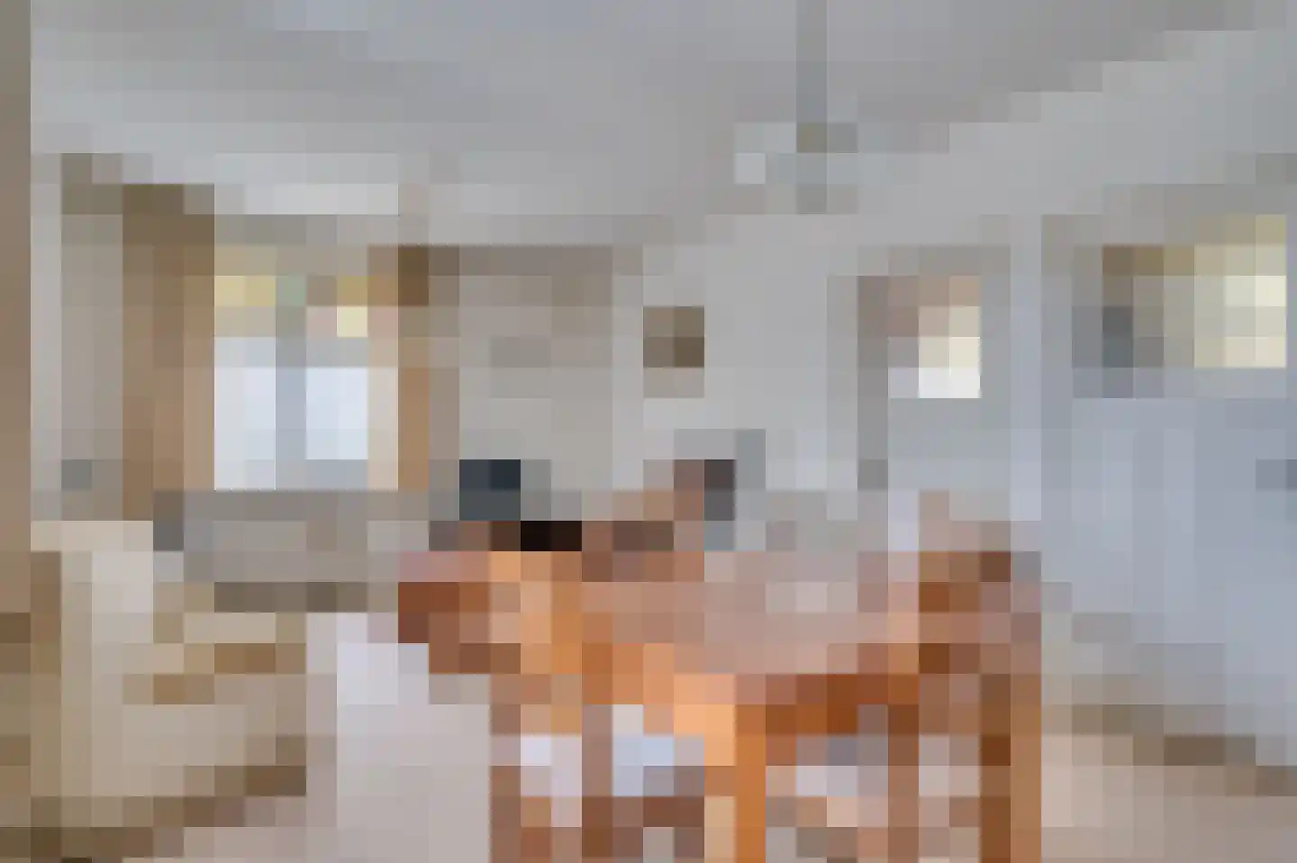 Kockerseweg 74 Venlo thumbnail 6