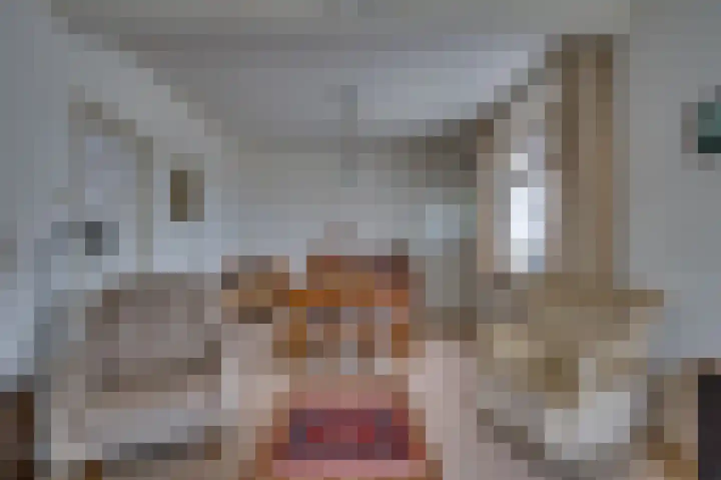 Kockerseweg 74 Venlo thumbnail 8