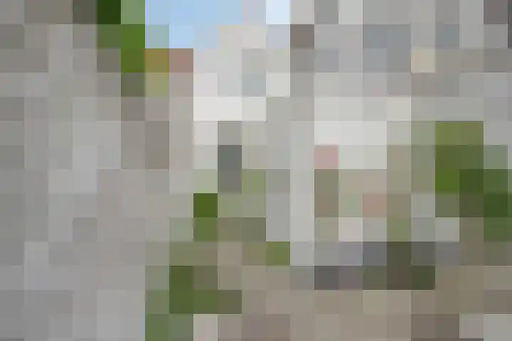 Koddesteeg 24 Leiden thumbnail 23