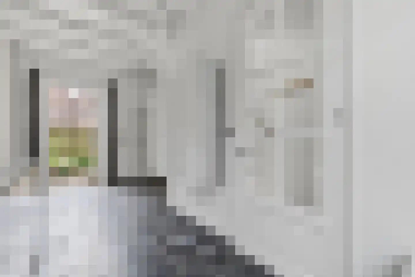 Koddesteeg 40 Leiden thumbnail 7