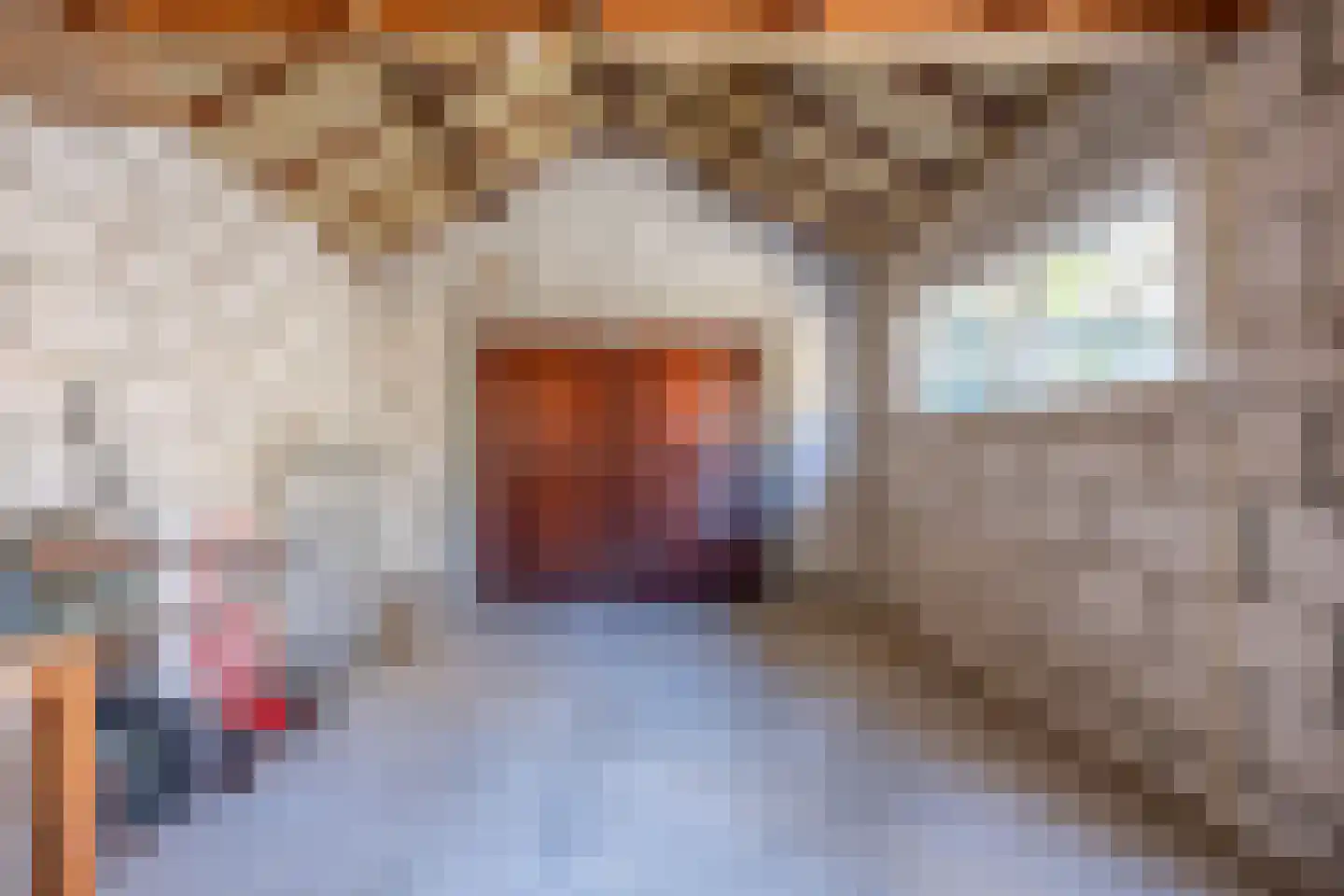 Koebaksestraat 14 Vianen NB thumbnail 31