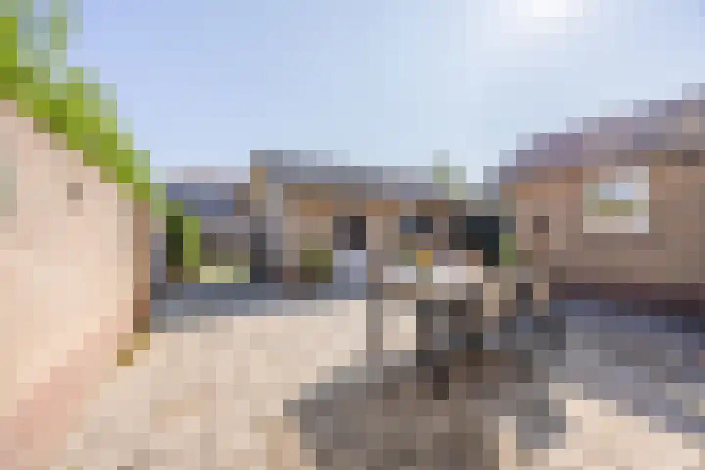 Koebaksestraat 14 Vianen NB thumbnail 35