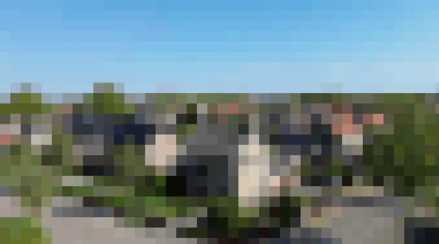 Koebaksestraat 14 Vianen NB thumbnail 41