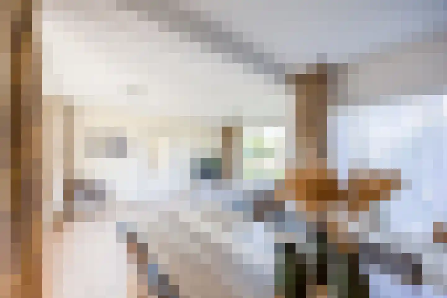 Koebaksestraat 14 Vianen NB thumbnail 9