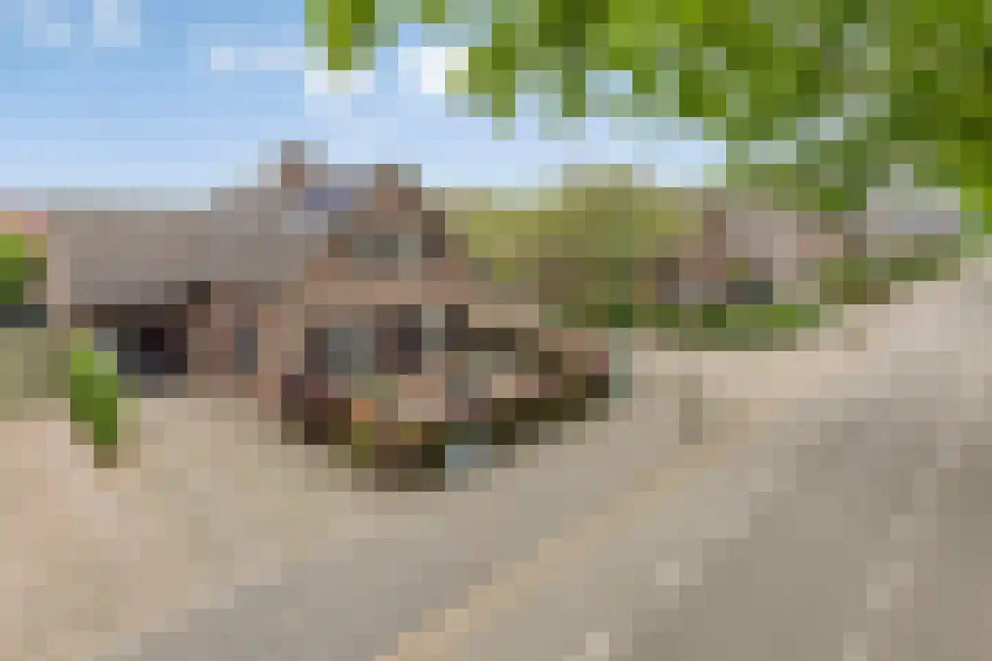 Koebaksestraat 8 a Vianen NB thumbnail 10