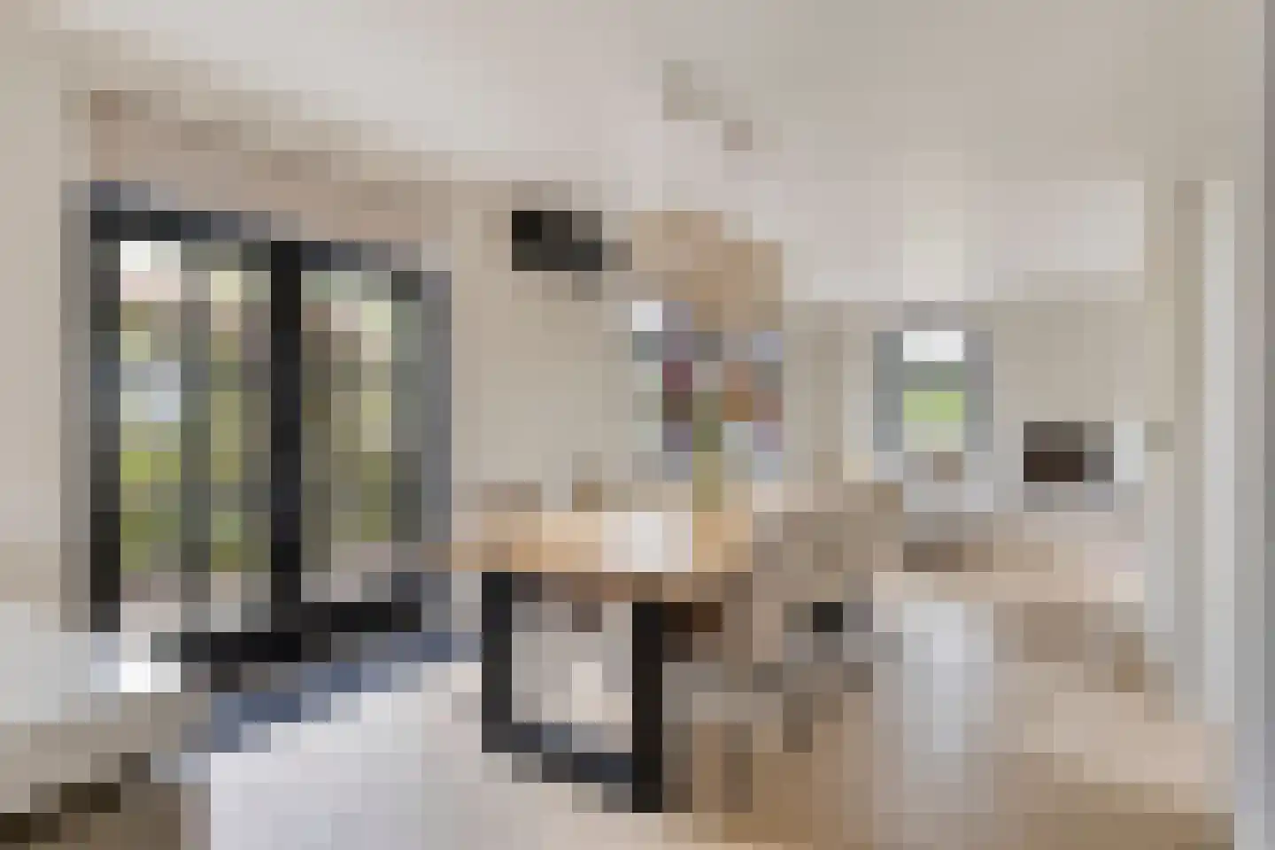 Koebaksestraat 8 a Vianen NB thumbnail 12