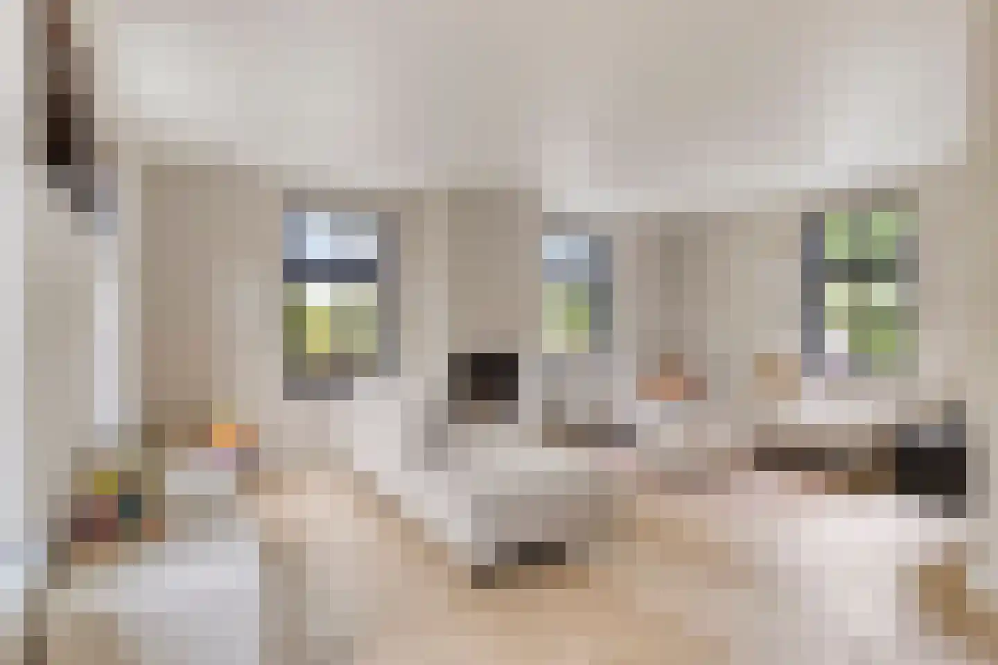 Koebaksestraat 8 a Vianen NB thumbnail 14