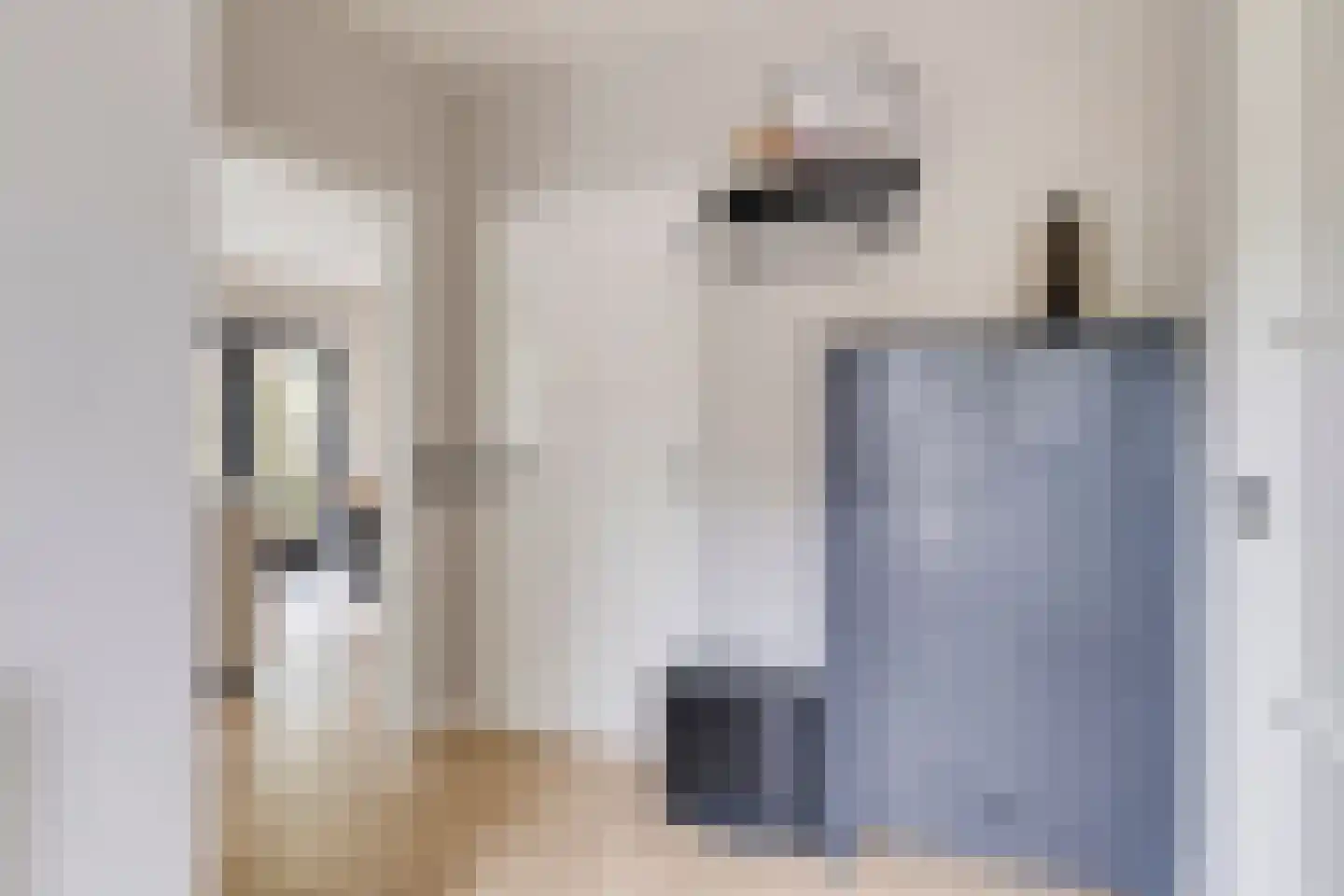 Koebaksestraat 8 a Vianen NB thumbnail 30