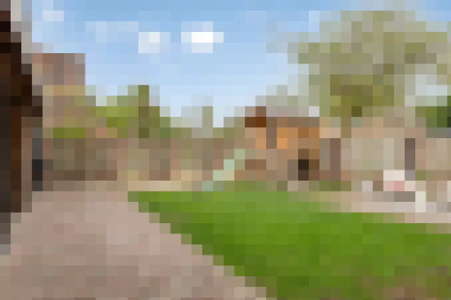 Koebaksestraat 8 a Vianen NB thumbnail 4