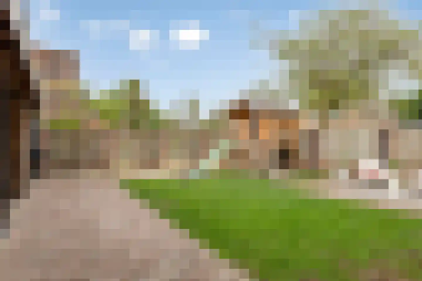 Koebaksestraat 8 a Vianen NB thumbnail 53